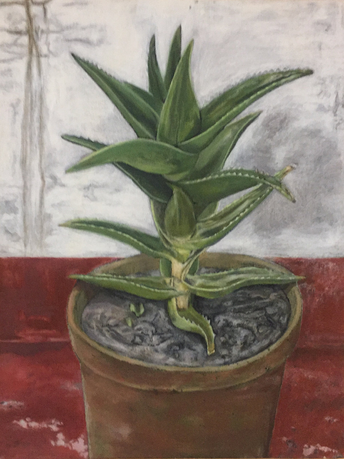 Cactus in Finca, Winter, Ibiza, by Colin Galloway, showing pointed green leaves in a terracotta pot against a pale wall.
