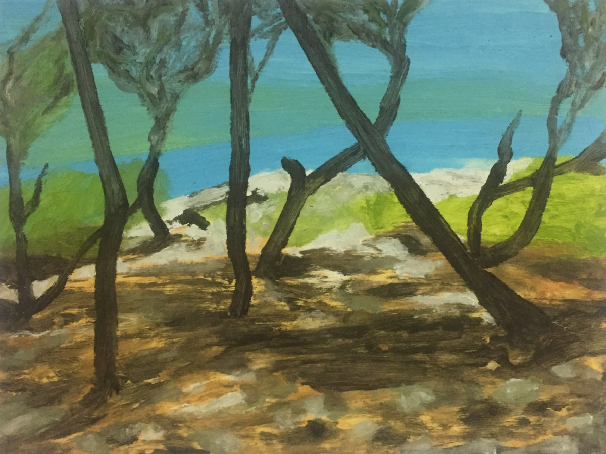 Ibiza landscape near San Carlos by Colin Galloway, with dark trees, sunlit ground and turquoise sea.