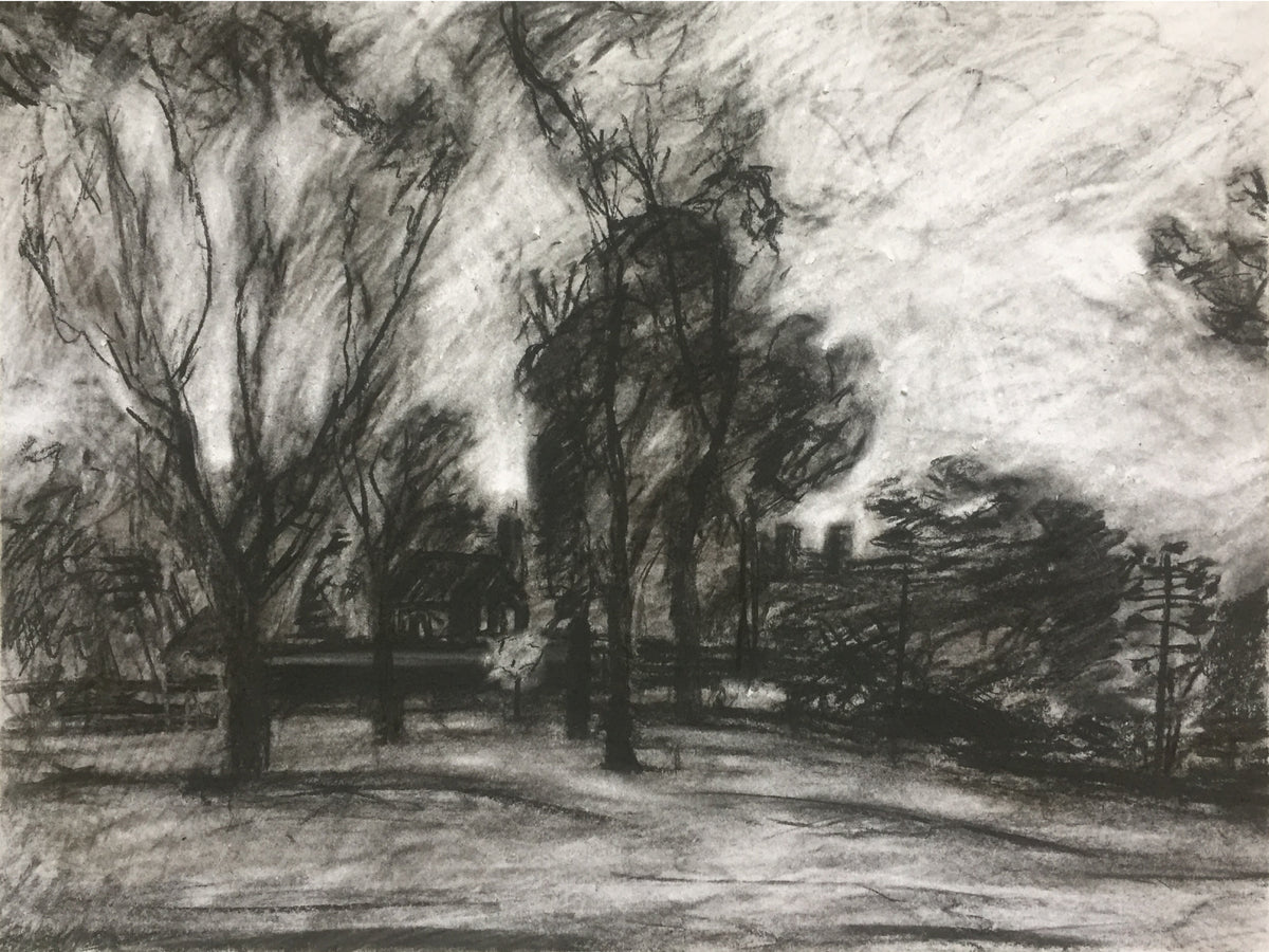Surrey landscape by Colin Galloway,  a monochrome charcoal drawing showing dark trees, distant buildings and a pale sky in black and white. 