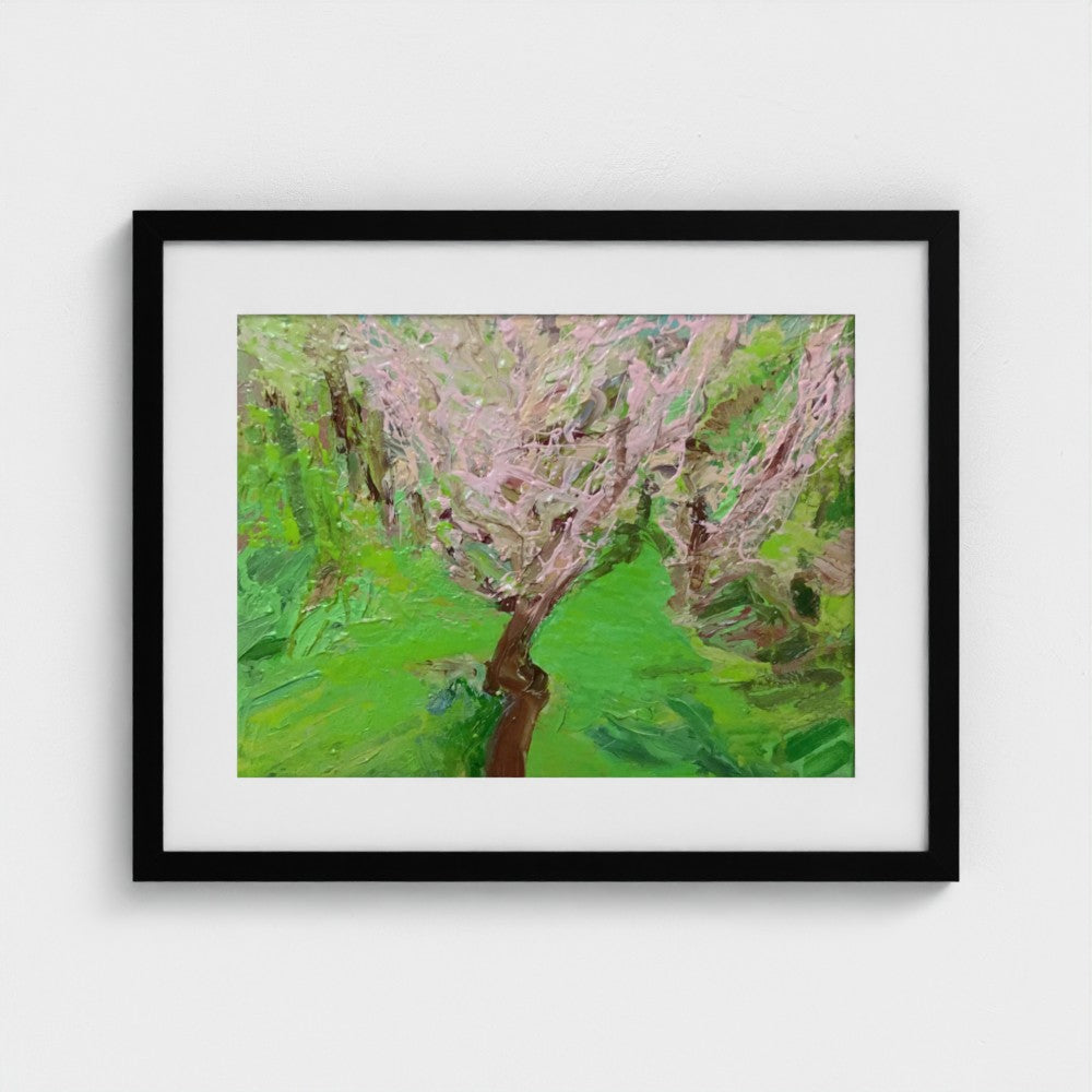 Black-framed Spring Apple Blossom, Surrey I, print by Colin Galloway, with pale pink branches above vivid green grass.
