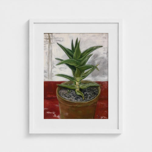 White-framed print of Colin Galloway’s Ibiza cactus, with pointed green leaves in a terracotta pot on a red surface.