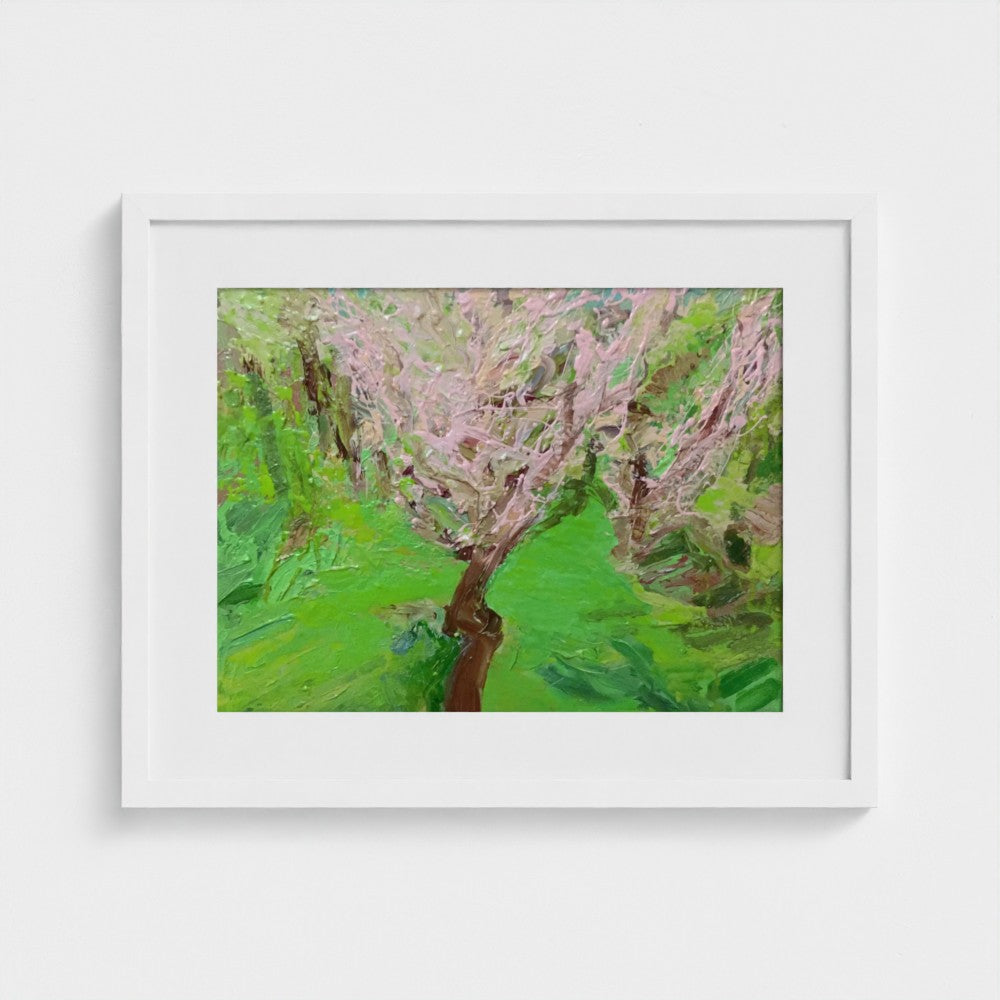 White-framed Spring Apple Blossom, Surrey I, print by Colin Galloway, with pale pink branches above vivid green grass.
