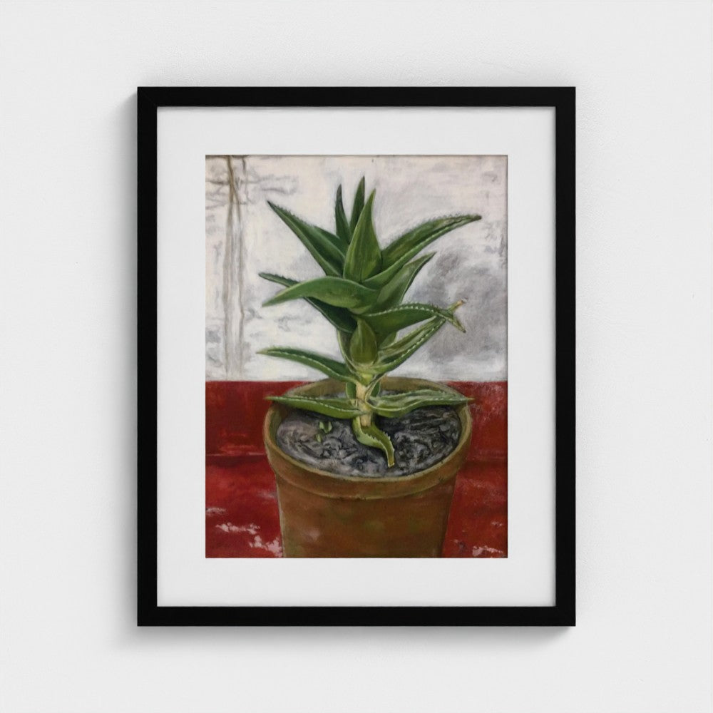 Black-framed print of Colin Galloway’s Ibiza cactus, with pointed green leaves in a terracotta pot on a red surface.