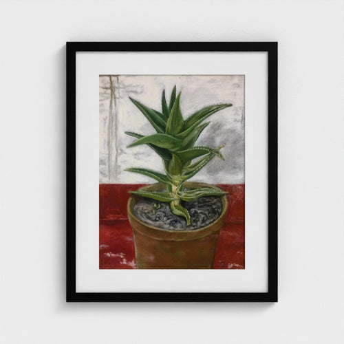 Black-framed print of Colin Galloway’s Ibiza cactus, with pointed green leaves in a terracotta pot on a red surface.