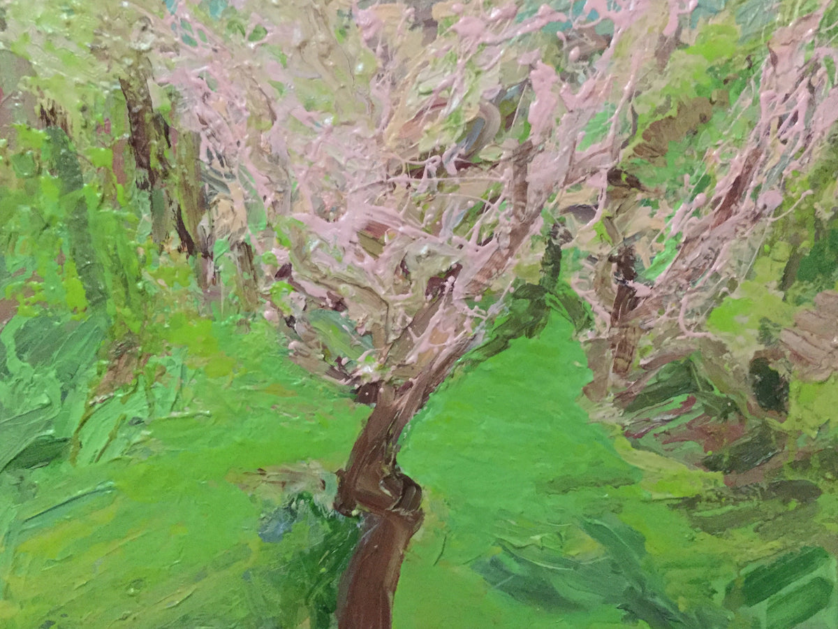 Spring Apple Blossom, Surrey I, by Colin Galloway, with a branching brown trunk, pale pink blossom and vivid green grass.