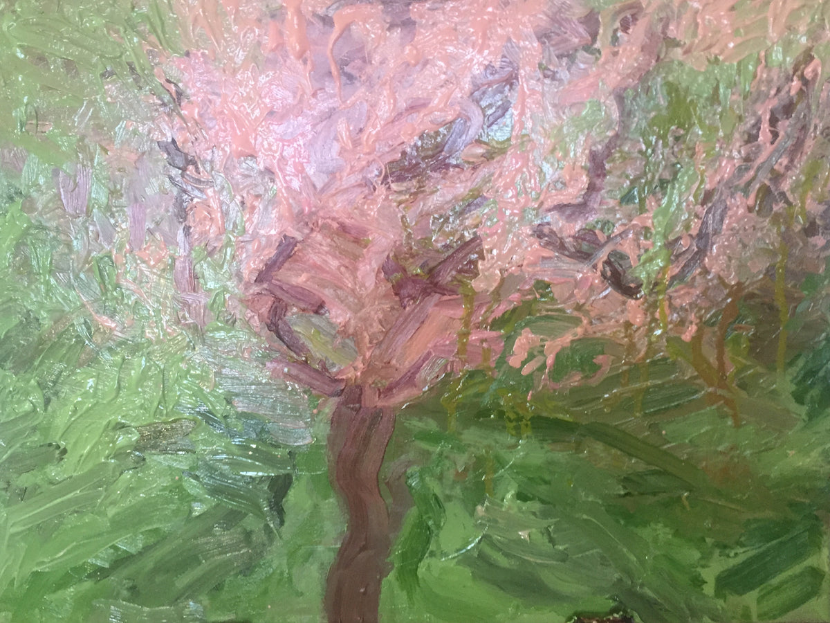 Spring Apple Blossom, Surrey II, by Colin Galloway, with thick pink brushstrokes around a brown trunk against green.
